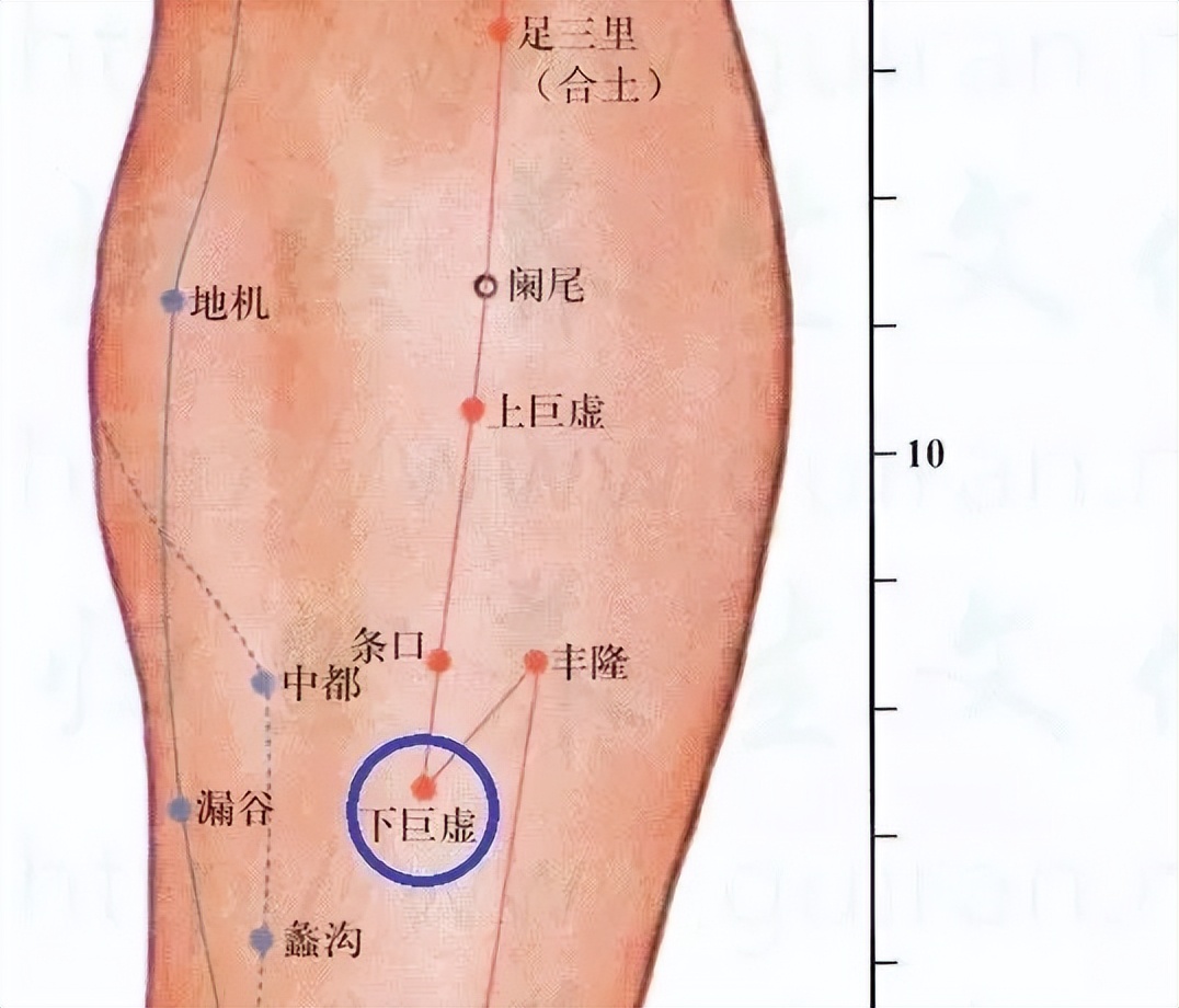 https://mp.toutiao.com/mp/agw/article_material/open_image/get?code=MjAxOTUzYzcyNWU3ZmMxZDNhNzViMmRkMGZkZjVjY2MsMTY3MDg0NDk5NDU0OQ==